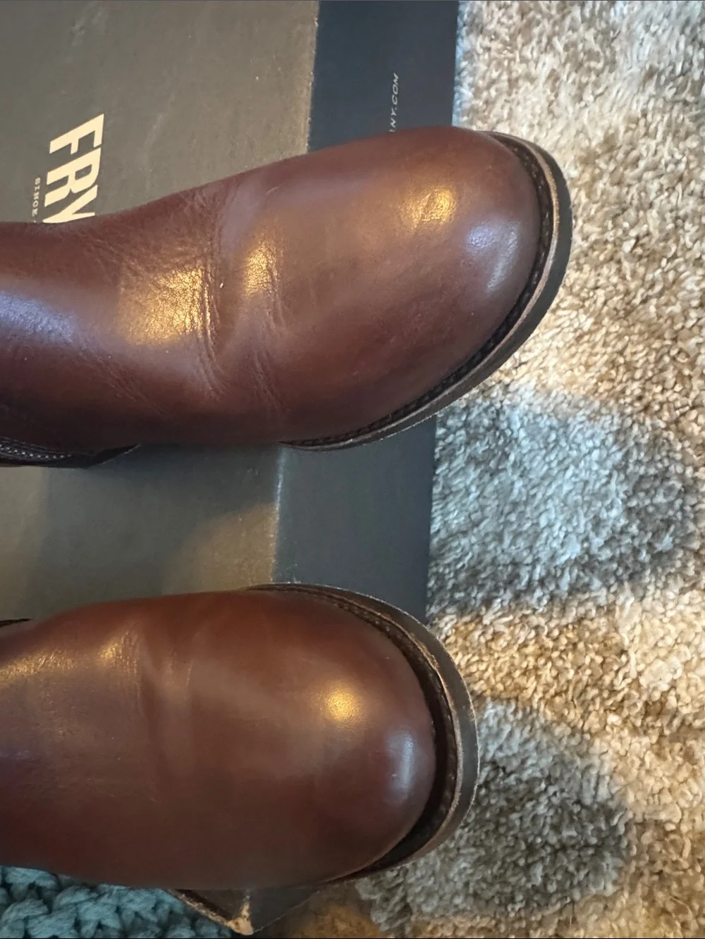 Frye Women's Melissa Belted Tall Riding Boots in Dark Brown Leather